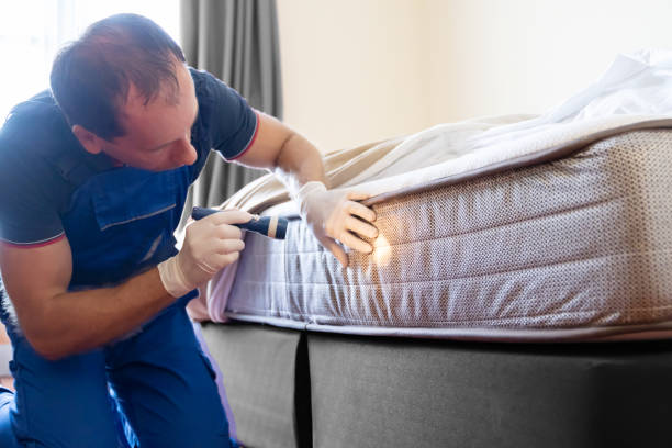 Best Fumigation Services  in Vandalia, OH